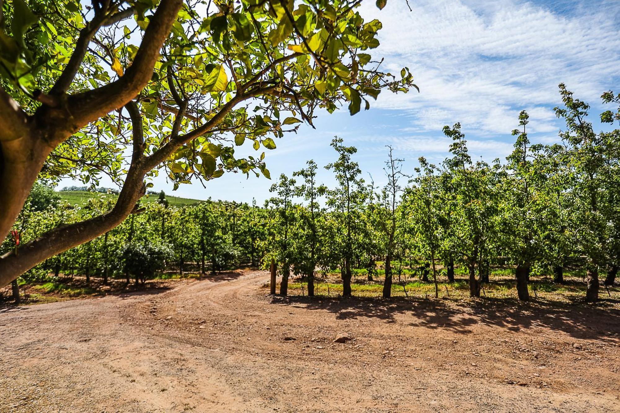 Galileo Farm Βίλα Elgin  Εξωτερικό φωτογραφία