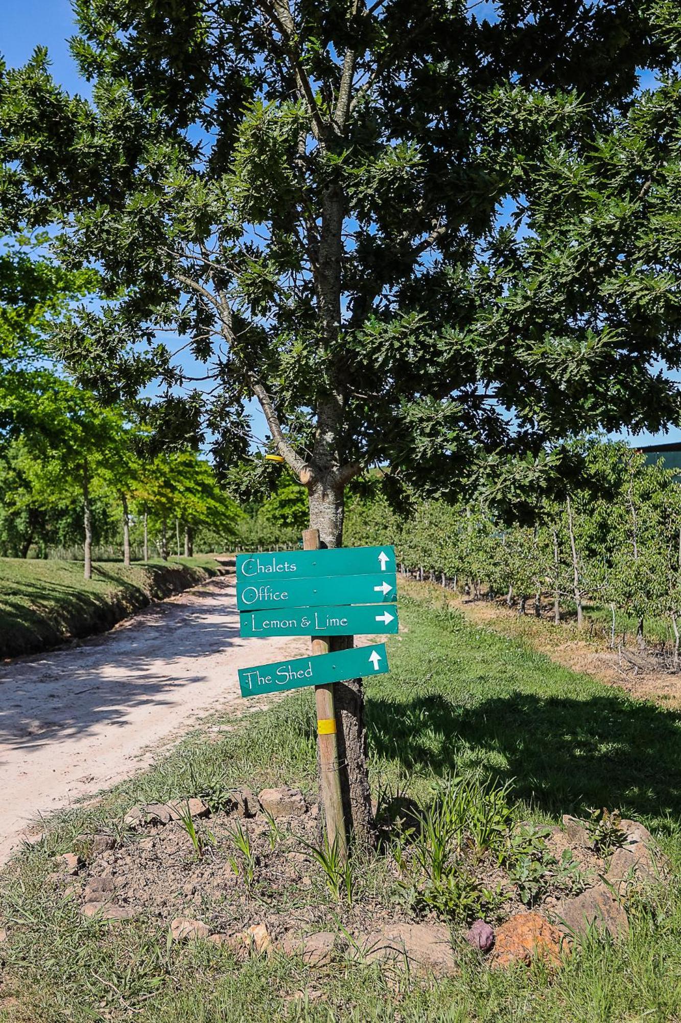 Galileo Farm Βίλα Elgin  Εξωτερικό φωτογραφία