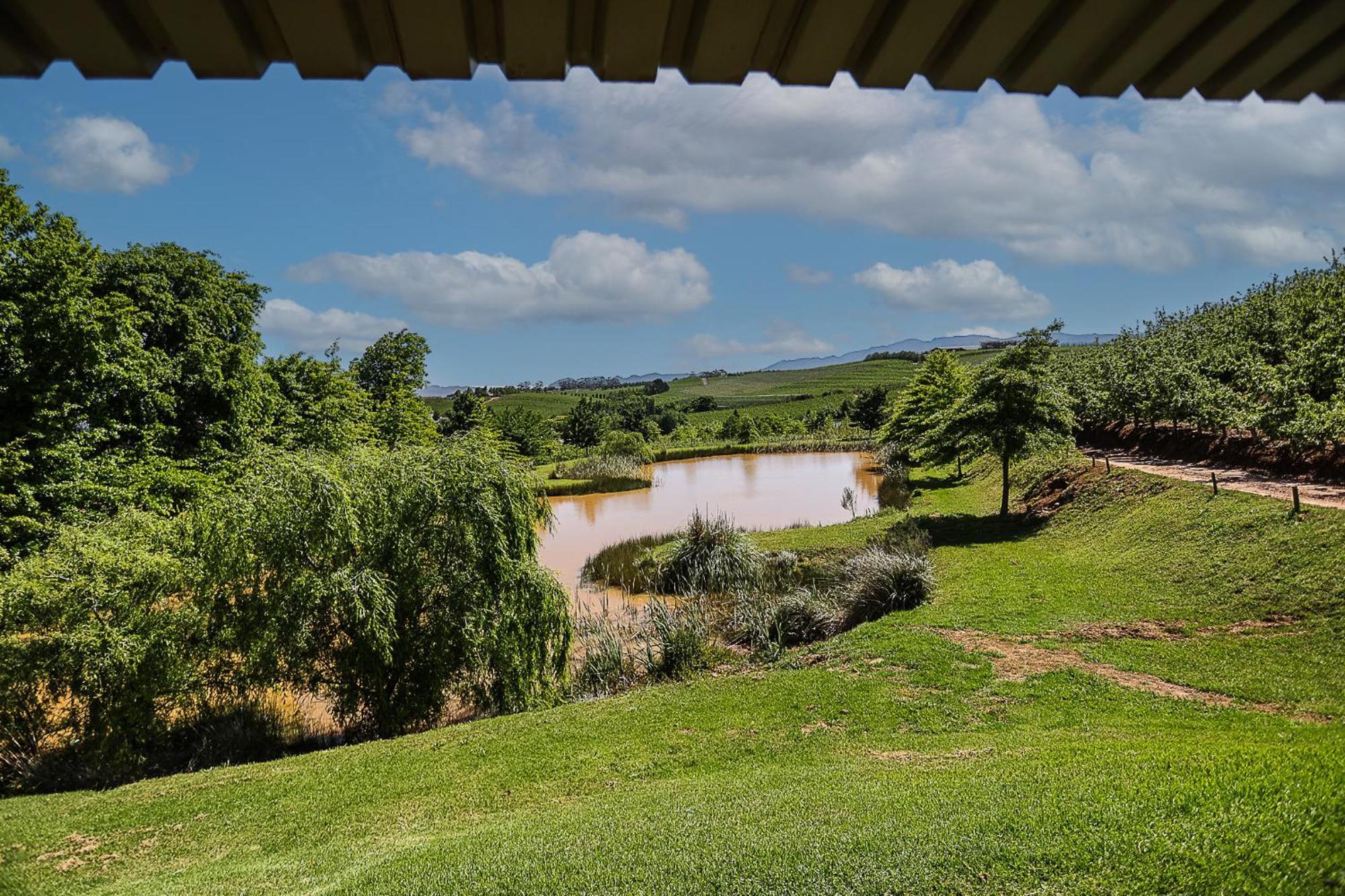Galileo Farm Βίλα Elgin  Δωμάτιο φωτογραφία