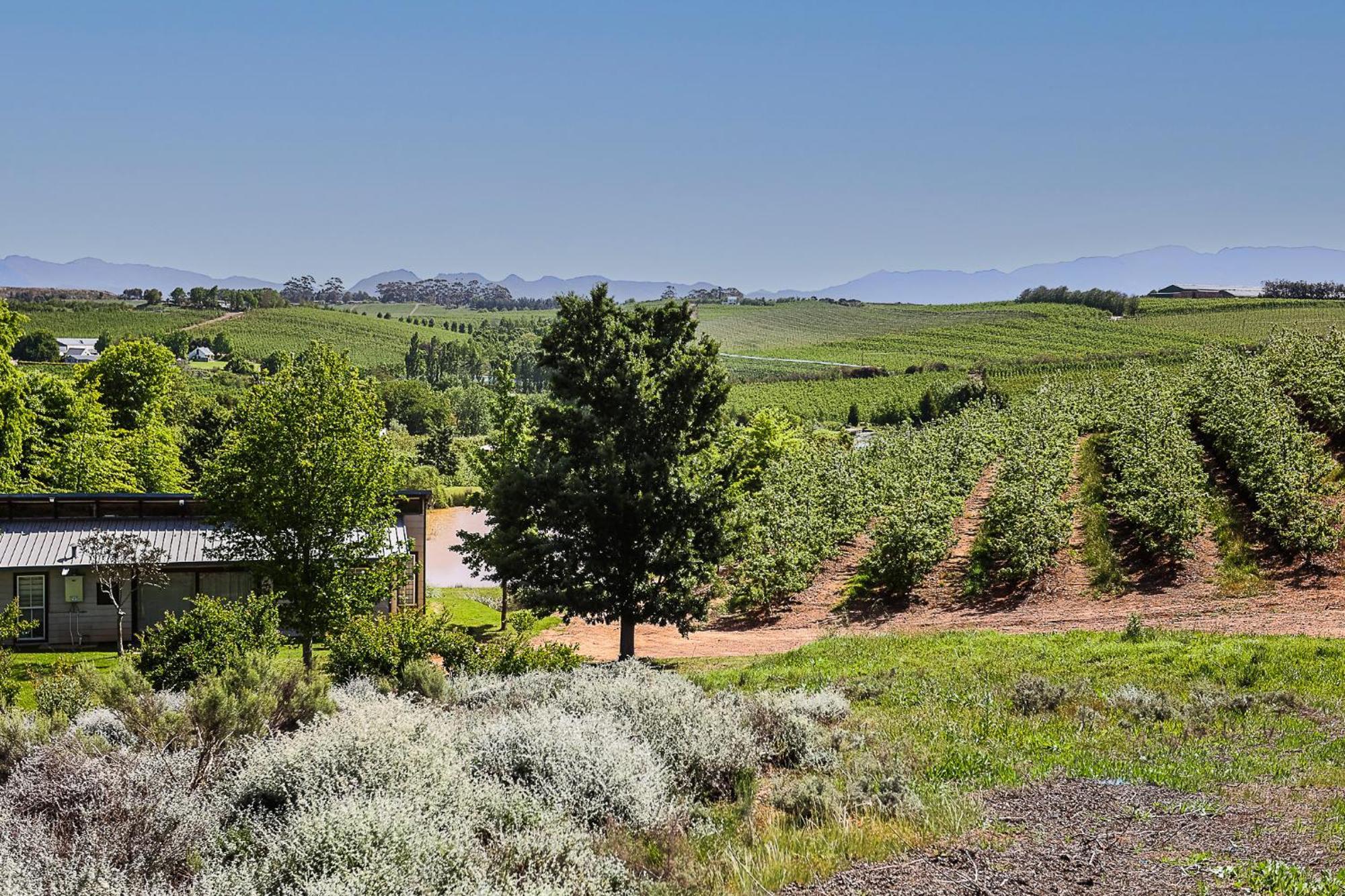 Galileo Farm Βίλα Elgin  Εξωτερικό φωτογραφία